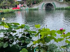 -宝墨园景区
