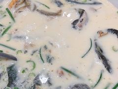 -饭怕鱼(阳光100店)