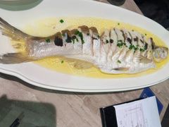 黑松露蒸大白鱼-王记姚家味·地道苏帮菜(凤凰街店)