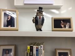 -猫头鹰照相馆(福田店)