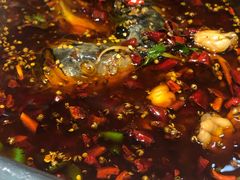 -蛙佬哥美蛙鱼火锅(新一中店)