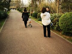 -白鹭湾湿地公园