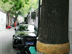 -炙热童年·老北京炙子烤肉(南锣鼓巷店)