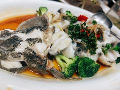 川椒海鲈鱼-富黎华海鲜大酒楼(正大广场店)
