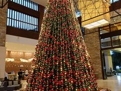 -三亚海棠湾喜来登度假酒店大堂吧