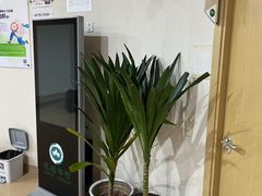 -慈铭体检(洋桥分院)