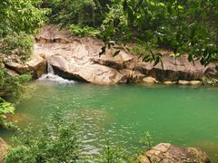 -广州白江湖森林公园