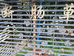 -广州神农草堂中医药博物馆