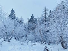 -中旅松花湖滑雪场