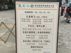 -西双版纳原始森林公园