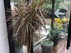 -Willing·Coffee&Brunch&Dinner(万达店)
