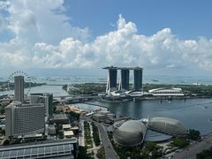 -新加坡瑞士史丹福酒店