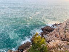-广东惠东海龟国家级自然保护区