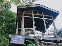 -青青世界