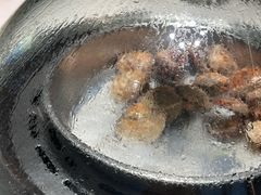 -青蓬蒸汽海鲜·深圳老字号·团建聚会(壹方城店)
