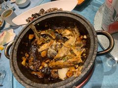 -海派美食·家宴海鲜青岛菜·石锅鲽鱼头(东方城店)
