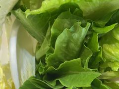 -探窝·竹笙椰子鸡(杨箕店)