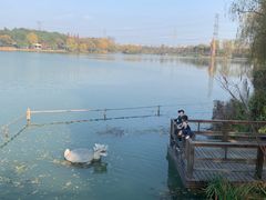 -昆山城市生态森林公园