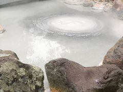 -别府杉乃井酒店