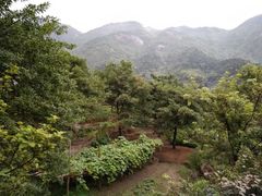 -南岳衡山风景名胜区