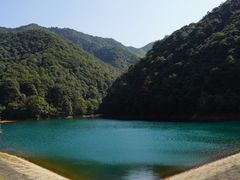-龙坞茶村