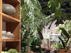 -自由生长植物工作室(深港花卉中心店)