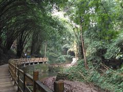 -凤栖山