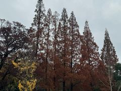 -衢州市博物馆