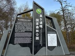 -莫尔道嘎国家森林公园