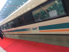 -龙阳路磁悬浮列车总站-停车场