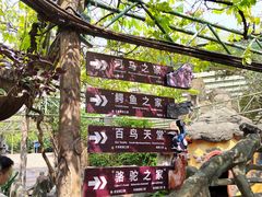 -长鹿旅游休博园