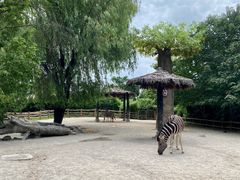 -上海野生动物园