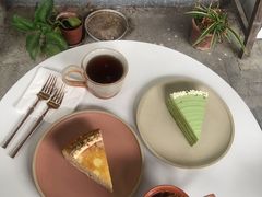 开心果千层-叶太YETAI(良库店)