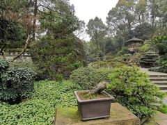 -南山植物园