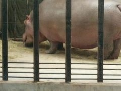 -石家庄市动物园