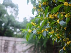 -杭州少年儿童公园