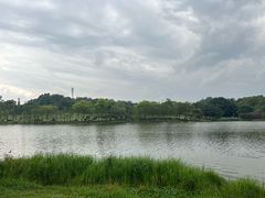 -东莞植物园