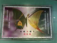 -上海昆虫博物馆