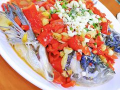 -全乐鱼馆·淳牌有机鱼直营店