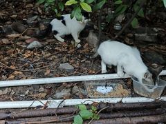 -全家便利店(愚园店)