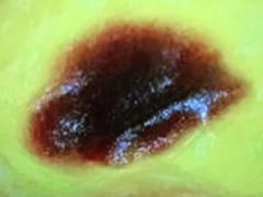 -麦的多生日蛋糕(花满庭店)