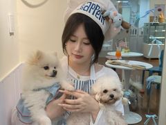 -汪说·狗咖·拼豆·宠物周边DIY(旺城大厦店)