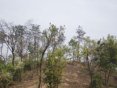 -青龙山国家森林公园
