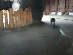 -鄂尔多斯野生动物园