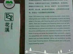 android_upload_pic-大湾区中央湿地公园