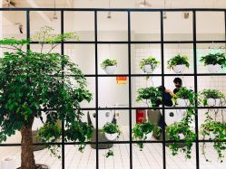 -P.STYLE派斯造型