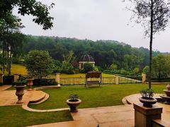 -铁山坪森林公园