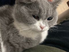 -天津市黄河医院