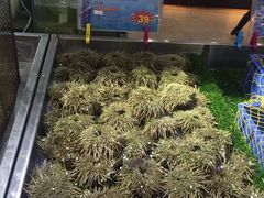 -渔民新村(番禺总店)