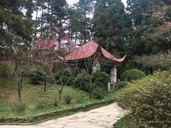-庐山风景区花径公园